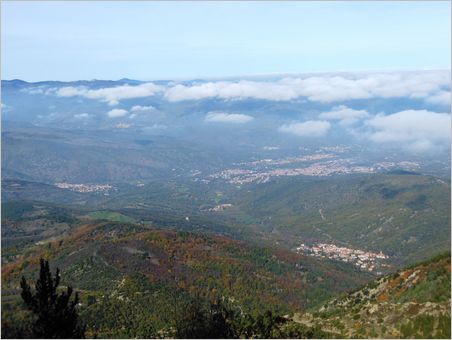 taurinya-prades