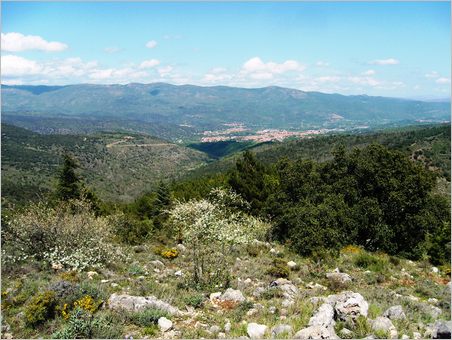 colline-prades